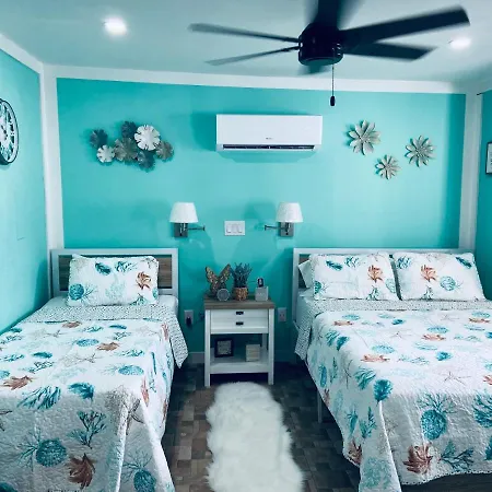 Beautiful And Comfortable Rom Apt # 2